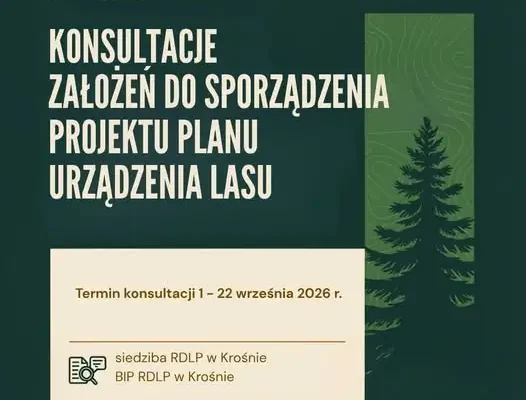 Konsultacje planów urządzenia lasu na lata 2028–2037 – mieszkańcy mogą zgłaszać uwagi