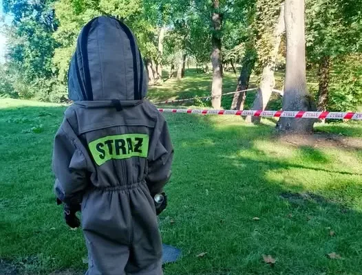 Medyka: strażacy usuwali gniazdo szerszeni