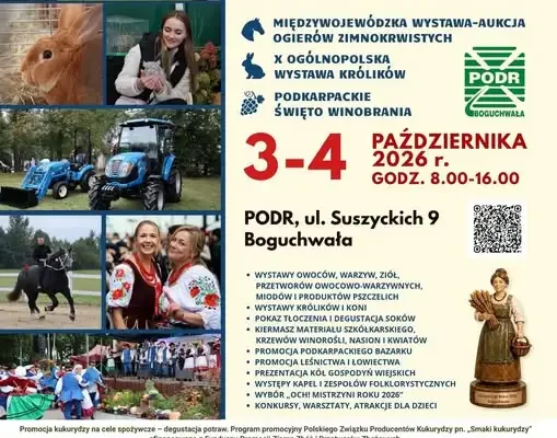 Wystawa królików i ogierów zimnokrwistych w Boguchwale – październik 2026