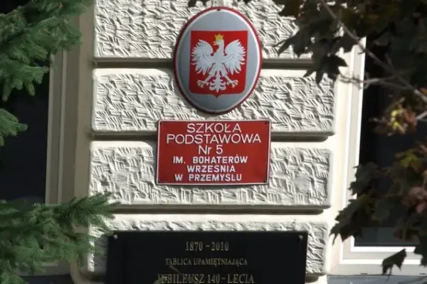 Jesień w lesie – odkrywamy warstwy lasu