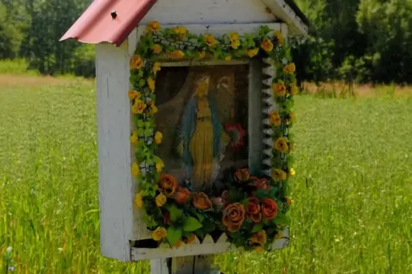 Miesiąc zbiórki kaucyjnej w gminie Krzywcza – 3360 butelek i puszek!