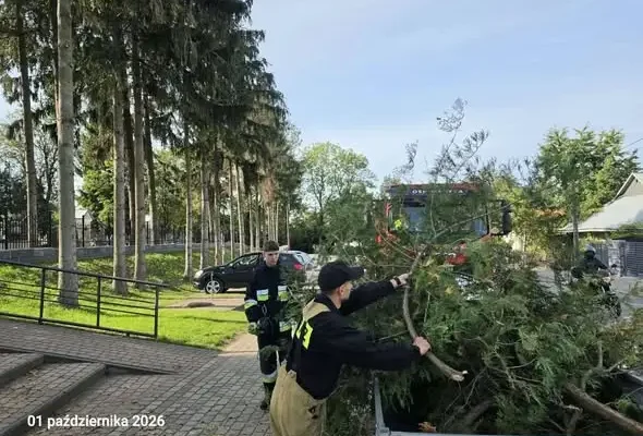 Druhowie z OSP Medyka pomogli w porządkach na cmentarzu komunalnym