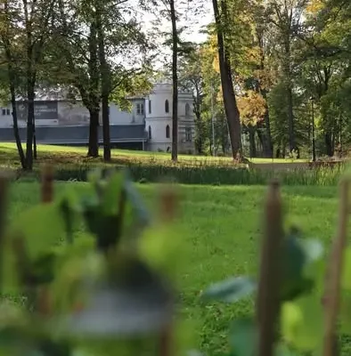 Bircza: młodzież posadziła Aleję Augusty – hołd dla historii parku
