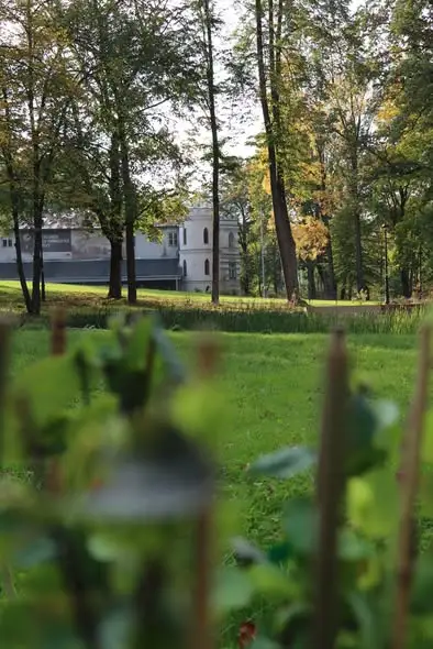 Bircza: młodzież posadziła Aleję Augusty – hołd dla historii parku