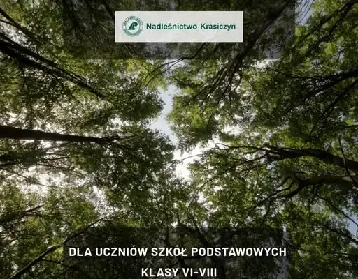 Nadleśnictwo Krasiczyn zaprasza uczniów na XV Konkurs Wiedzy o Lasach