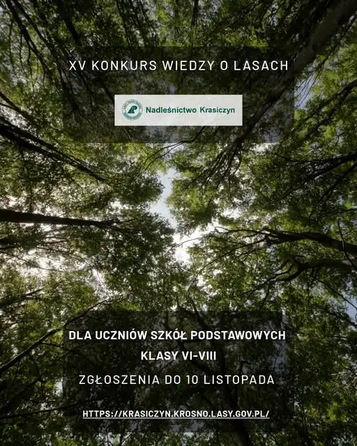 Nadleśnictwo Krasiczyn zaprasza uczniów na XV Konkurs Wiedzy o Lasach