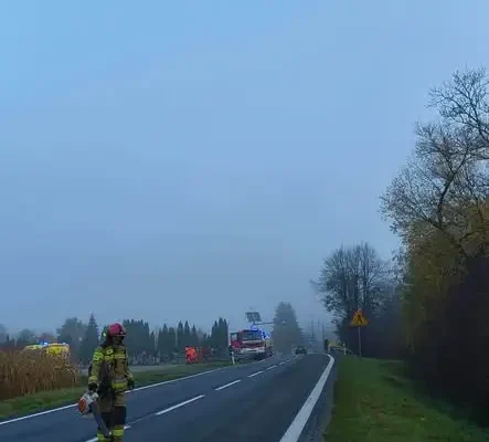 Sarna uderzyła w autobus w Śliwnicy – pasażer trafił do szpitala