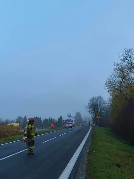 Sarna uderzyła w autobus w Śliwnicy – pasażer trafił do szpitala